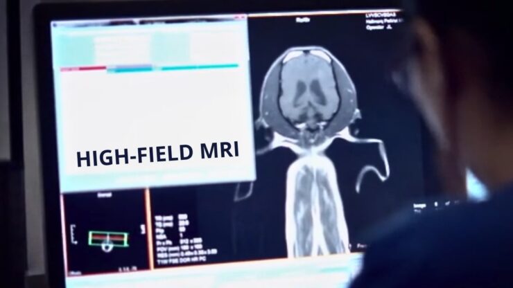 High-field MRI